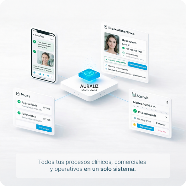 Plataforma Auraliz - Componentes